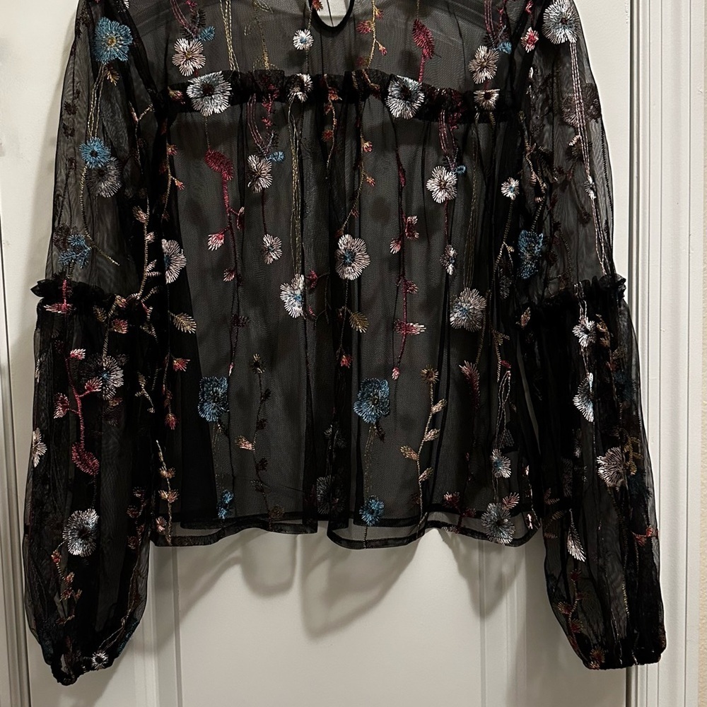 Women’s Embroidered Long Sleeve Mesh Fairy Grunge Top Size L Whimsygoth Festival - Picture 8 of 15